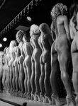 Miss Nude Australian - 55 photos